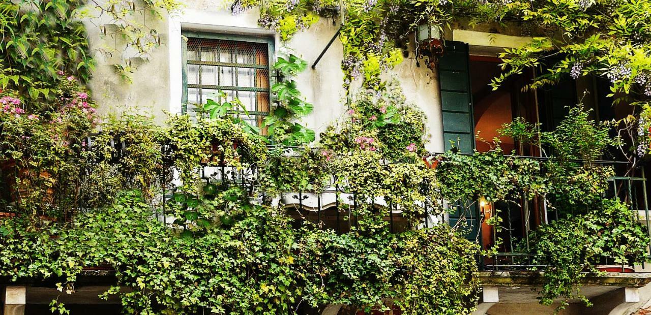Venezia Ca' Dri Apartment エクステリア 写真
